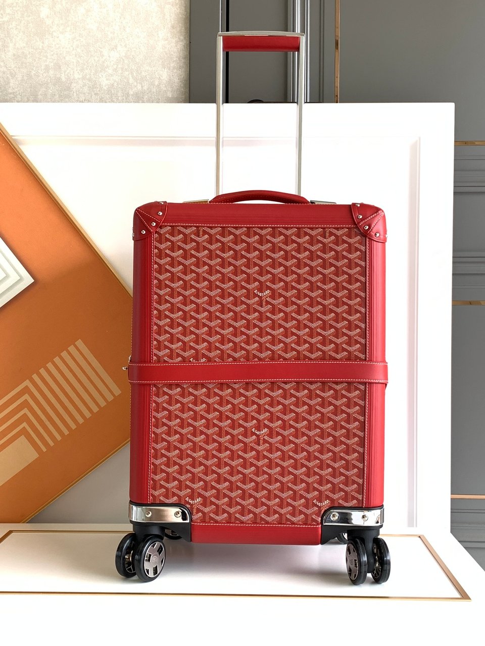 Goyard 50cm view 2