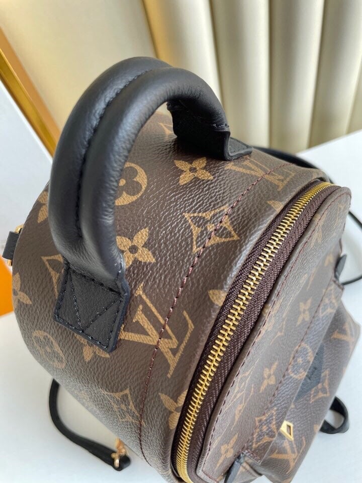 Louis Vuitton Palm Springs Backpack Mini Monogram Canvas – 17cm/6.7in view 9