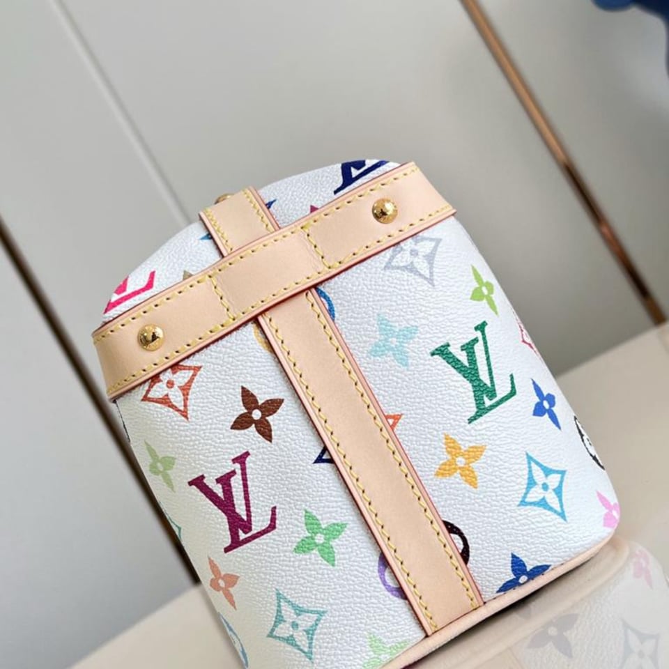 Louis Vuitton Diane PM LV x TM M27900 22cm/8.7in view 4