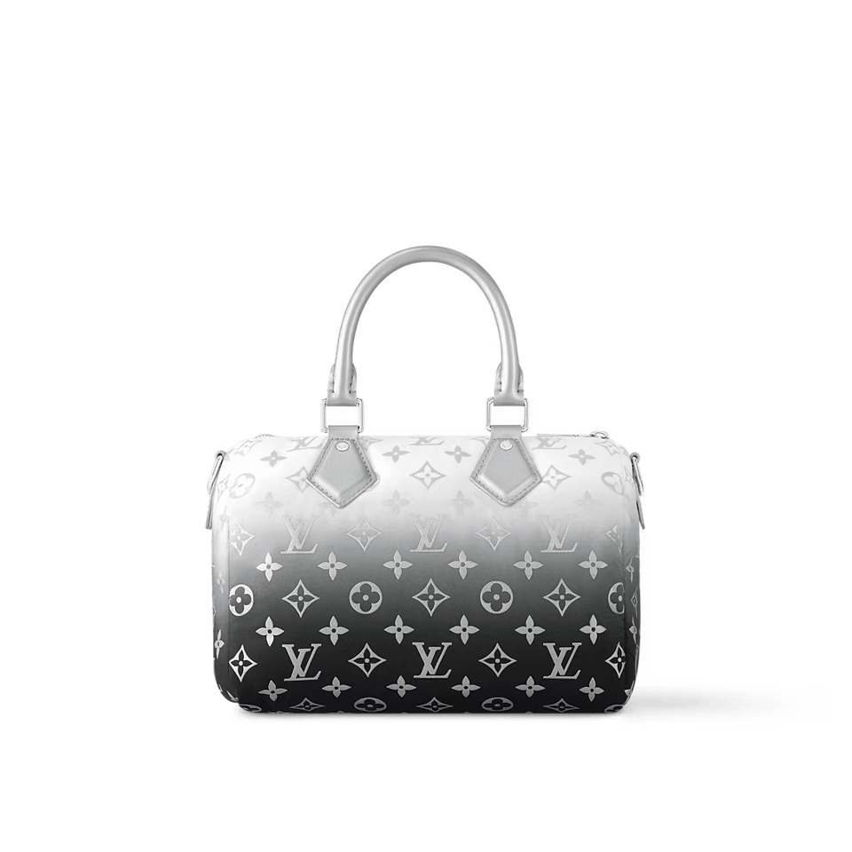 Louis Vuitton Speedy Bandouliere 25 Frost Gardiant Silver 25cm M11848 view 5