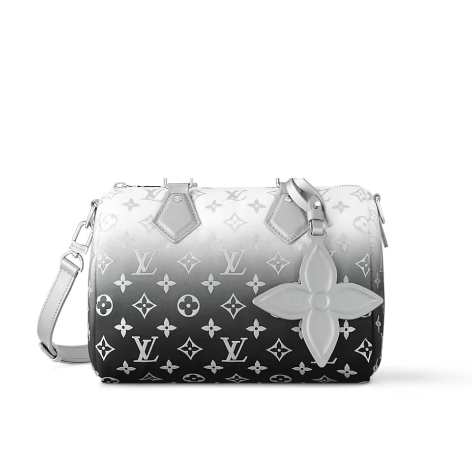 Louis Vuitton Speedy Bandouliere 25 Frost Gardiant Silver 25cm M11848