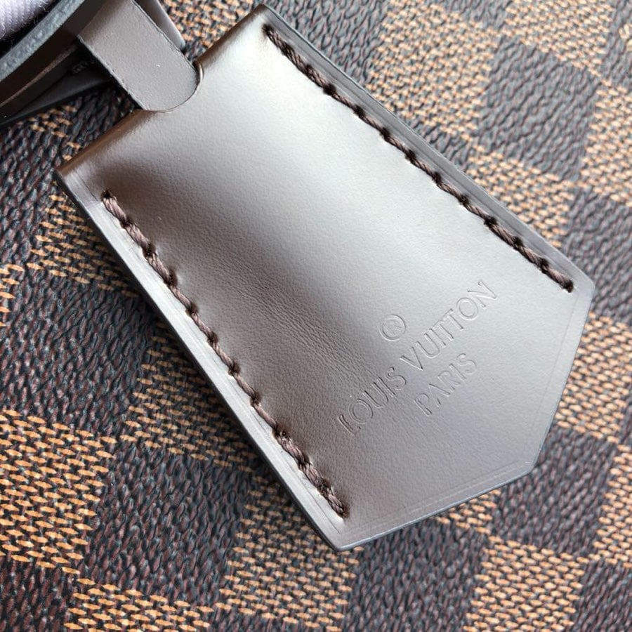Louis Vuitton Alma Pm Damier Ebene view 9