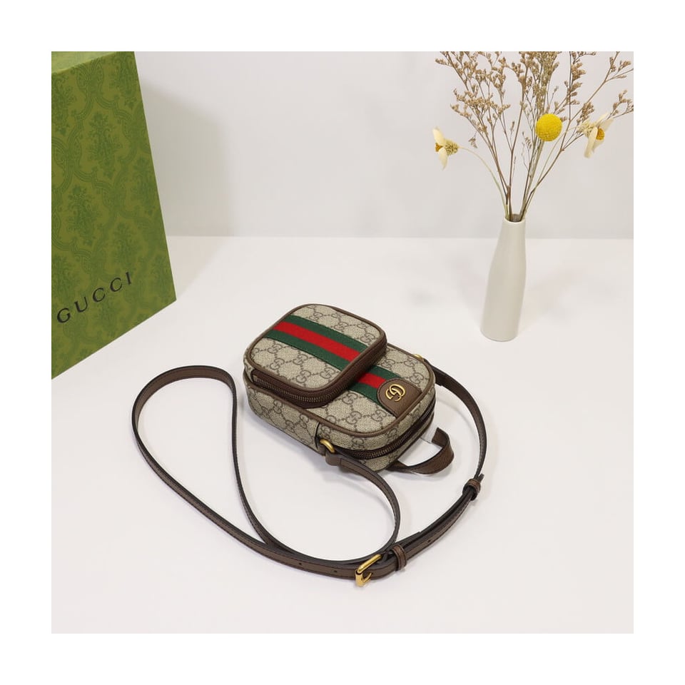 Gucci Ophidia Mini Bag Coffee view 11
