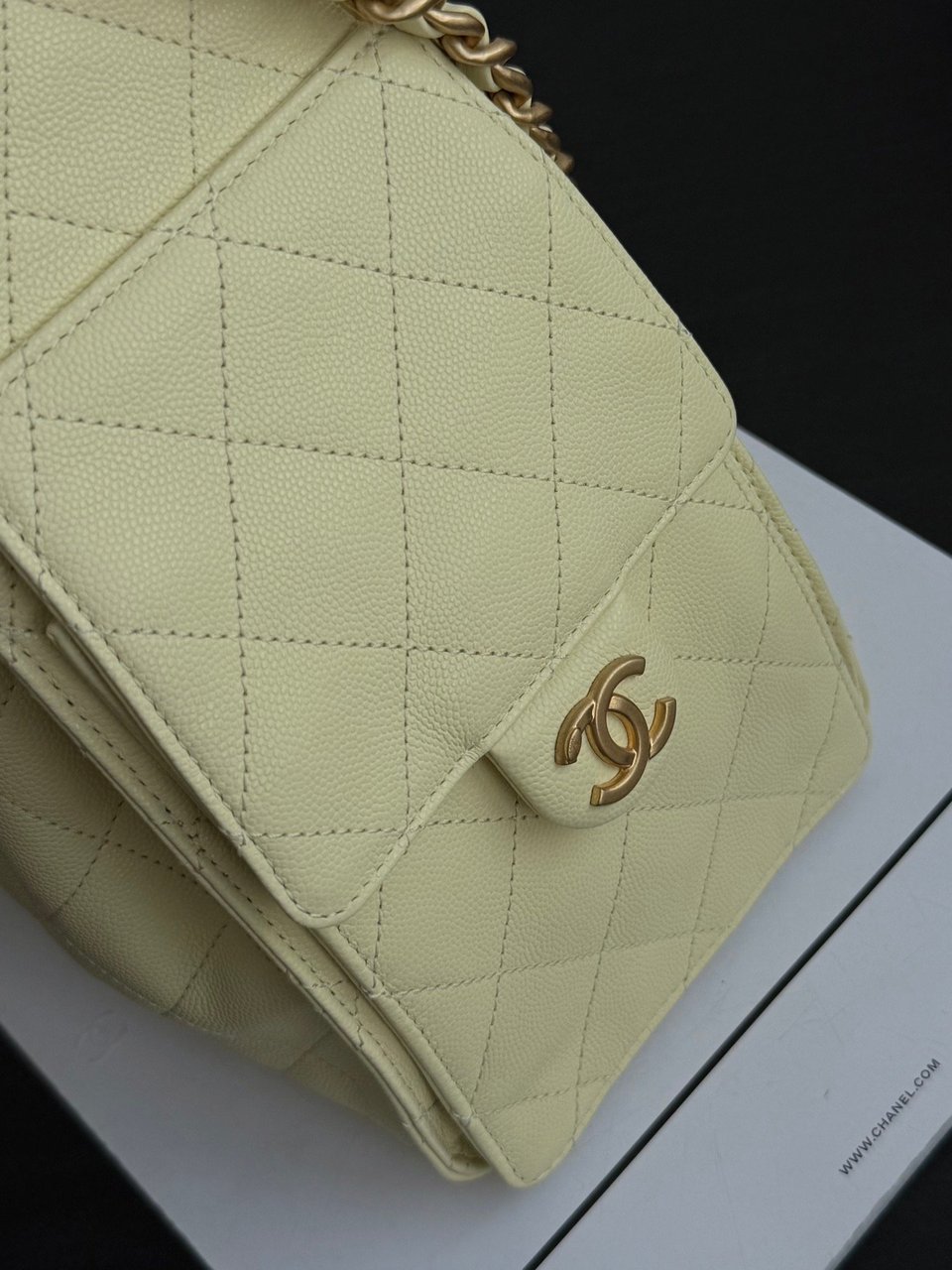 Chanel Spring-Summer 2025 Handbag Grained Calfskin &amp; Gold-Tone Metal Yellow 30Cm/ 11.8In view 8