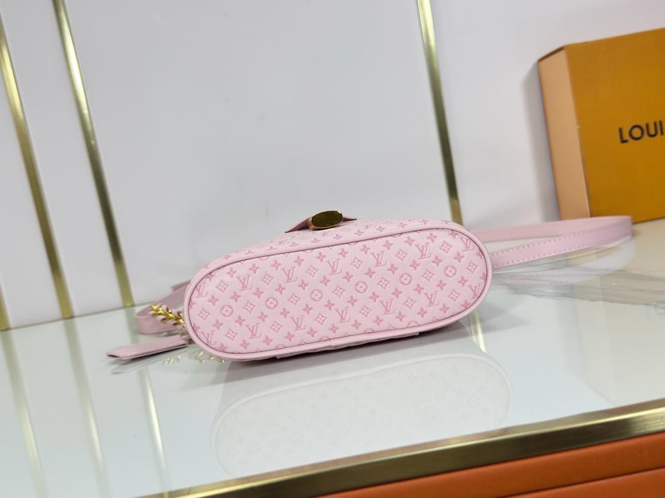 Louis Vuitton Vanity Chain Pouch Light Bliss Cream 19cm M29344 view 6