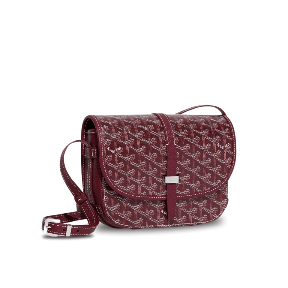 Goyard Belvedere Pm Bag 21Cm Burgundy Canvas view 2