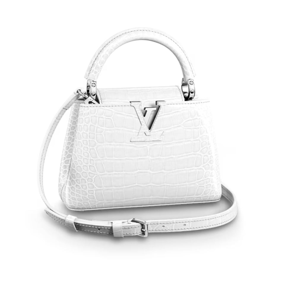 Louis Vuitton Capucines Mini White 21Cm N93701 view 2