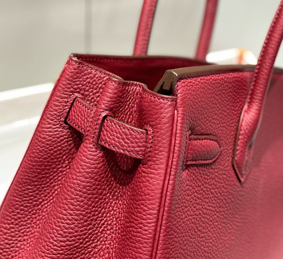 Hermes Birkin 25Cm Rouge H Togo Leather Gold Hardware view 8