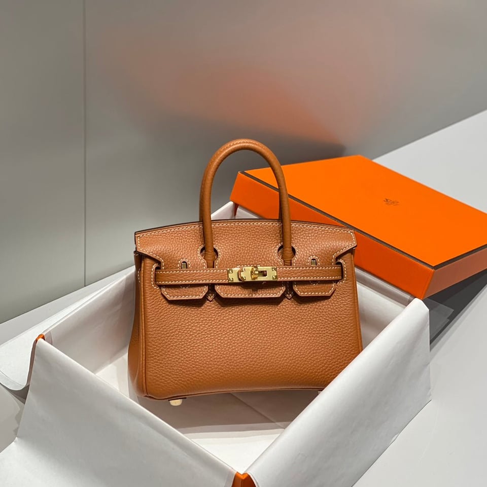 Hermes Birkin 20Cm Gold Togo Leather Gold Hardware view 4