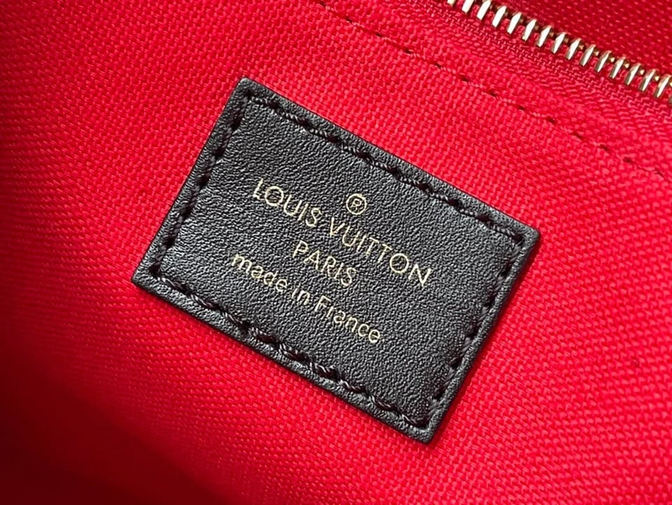 Louis Vuitton Onthego Vuitton 25 M46373 view 14