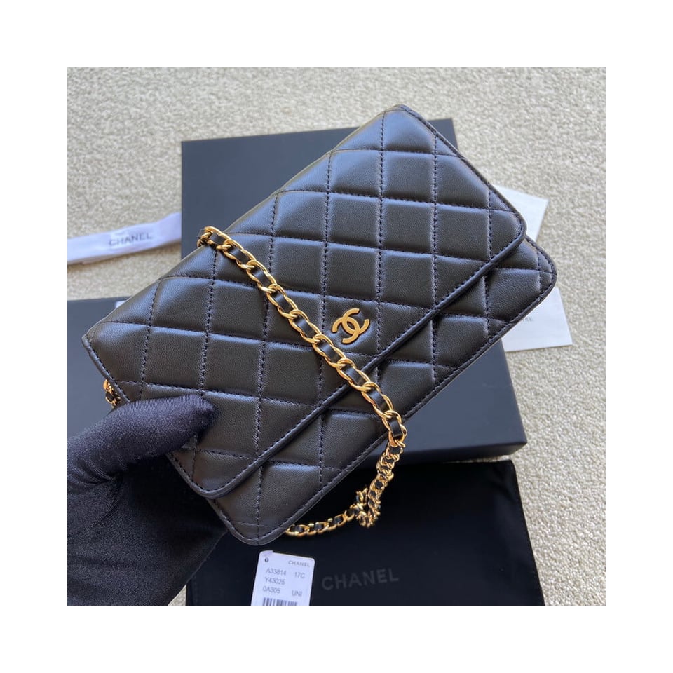 Chanel Lamb Wallet On Chain Woc Black 19cm view 10