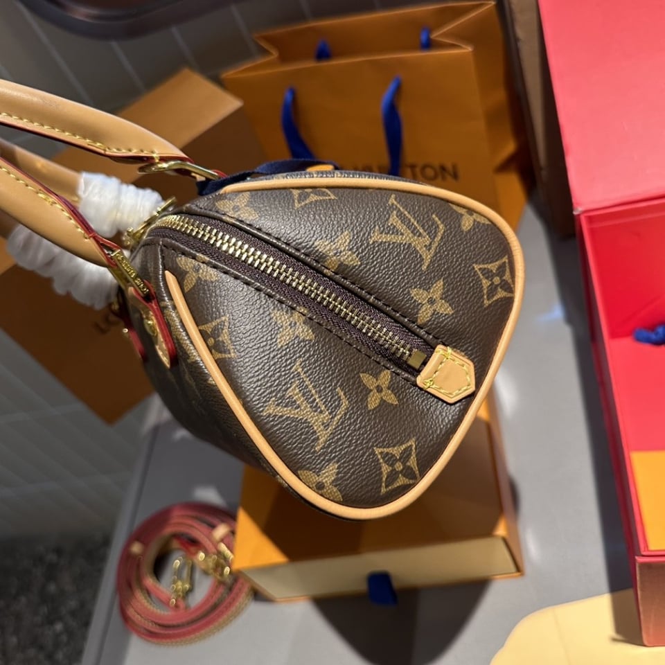 Louis Vuitton Tote Ribera Monogram 23Cm view 5