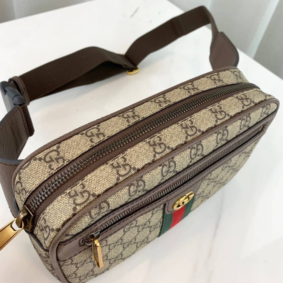 Gucci Ophidia GG Belt Bag view 8