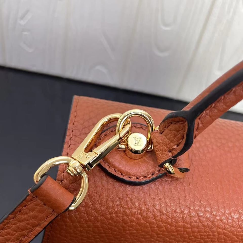 Louis Vuitton Twist One Handle Pm 25Cm Brown view 11
