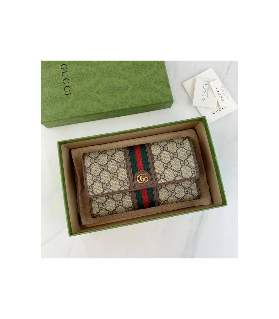 Gucci Ophidia Mini Bag view 11