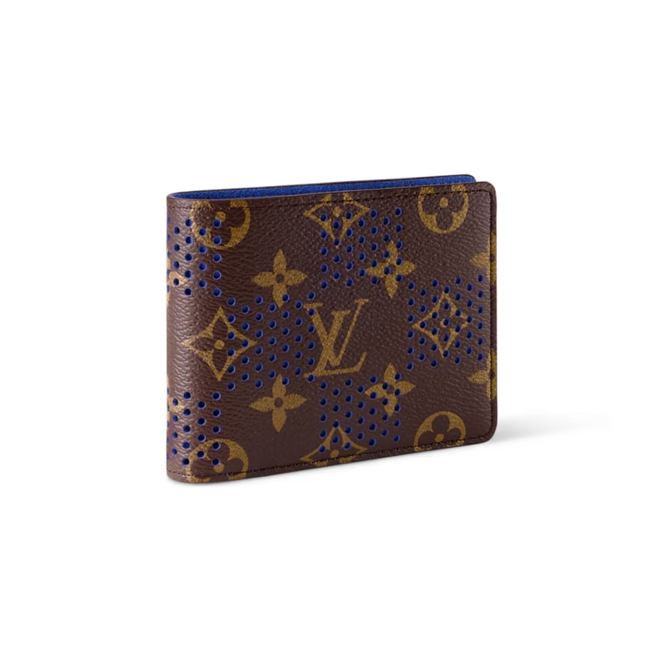 Louis Vuitton Multiple Wallet For Men 11.5cm M29292 view 2