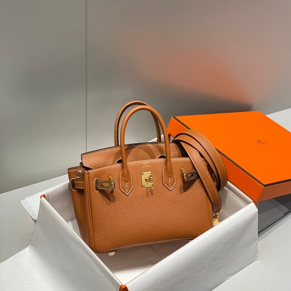 Hermes Birkin 20Cm Gold Togo Leather Gold Hardware view 5