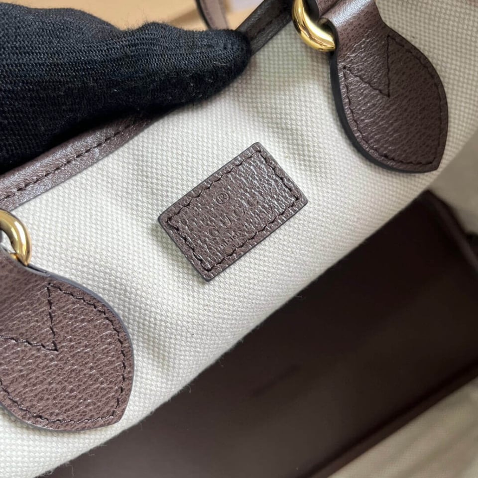 Gucci Ophidia GG Mini Tote Bag view 14