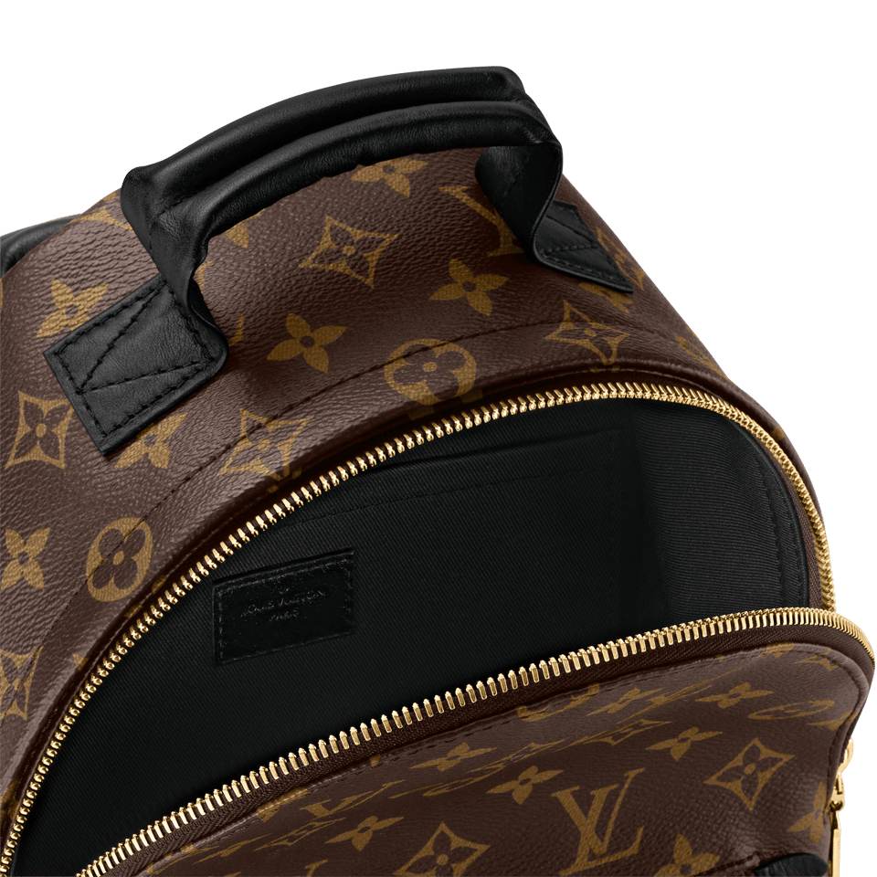 Louis Vuitton Palm Springs Backpack MM Monogram Canvas 28cm/11in M44874 view 14