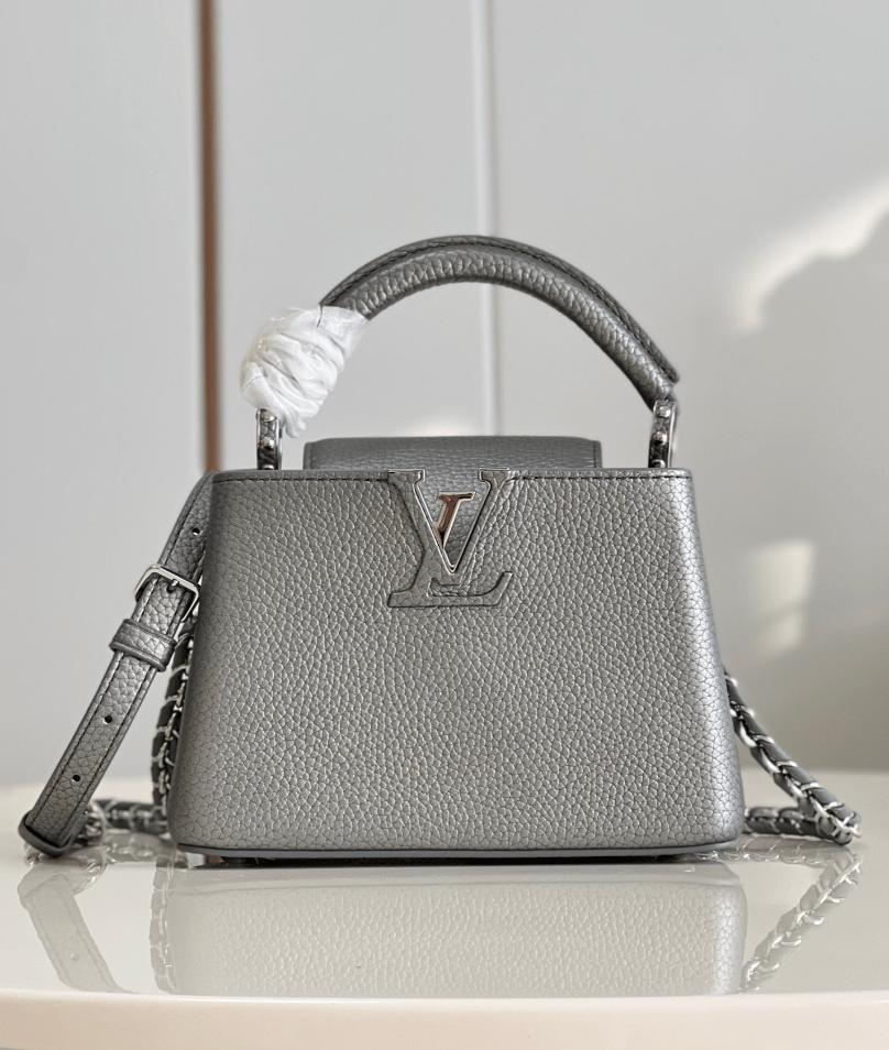 Louis Vuitton Capucines Gray 21Cm view 10
