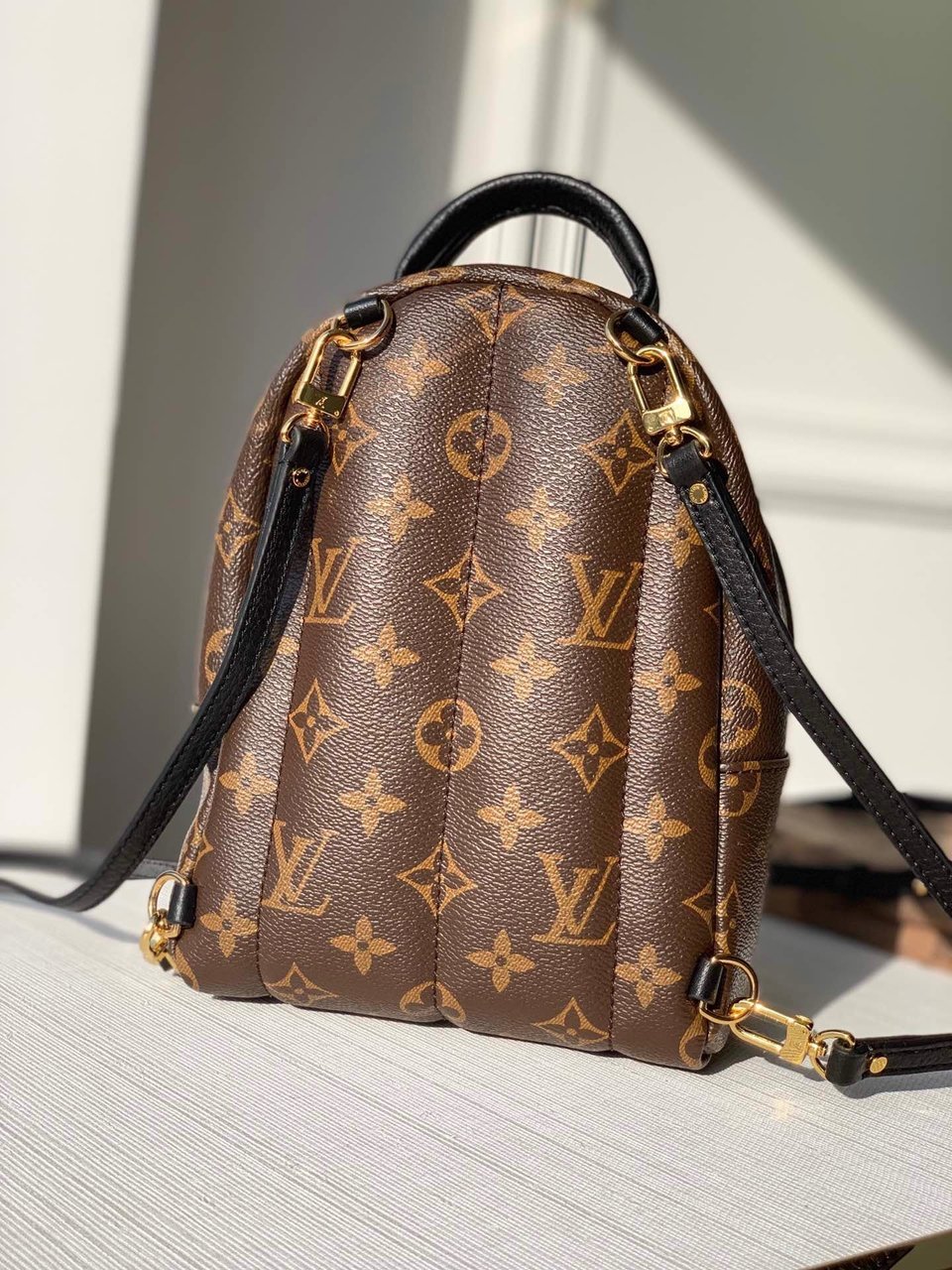 Louis Vuitton Palm Springs Backpack PM Monogram Canvas – 22cm/8.7in view 4