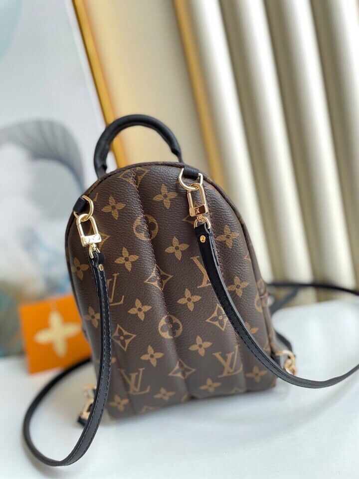 Louis Vuitton Palm Springs Backpack Mini Monogram Canvas – 17cm/6.7in view 17