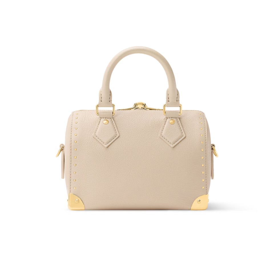 Louis Vuitton Speedy Trunk Almond Calfskin 20.5cm M29876 view 6