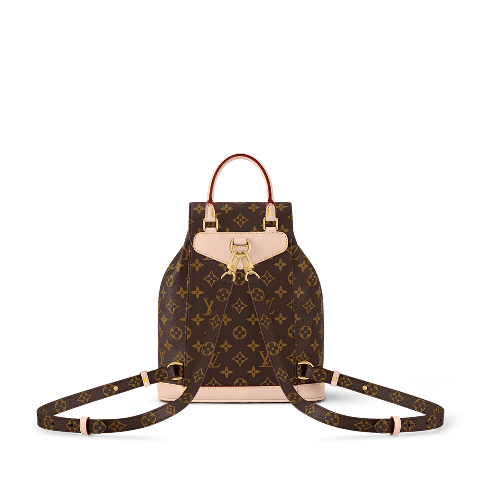 Louis Vuitton Montsouris Pm 30cm M11198 view 5