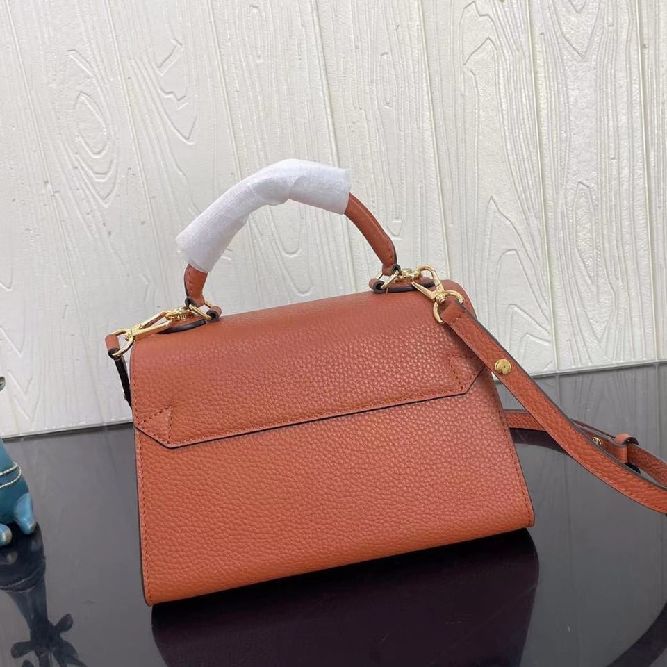 Louis Vuitton Twist One Handle Pm 25Cm Brown view 5