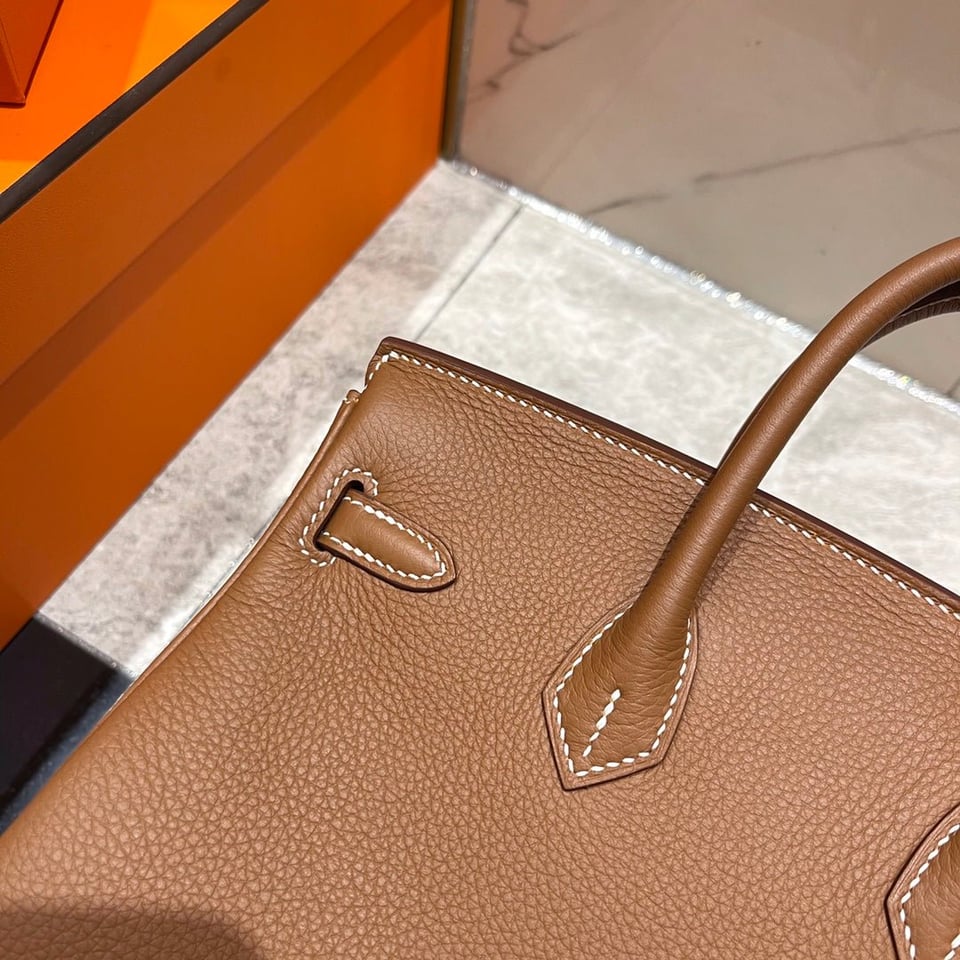 Hermes Birkin 25Cm Gold Togo Leather Silver Hardware view 5