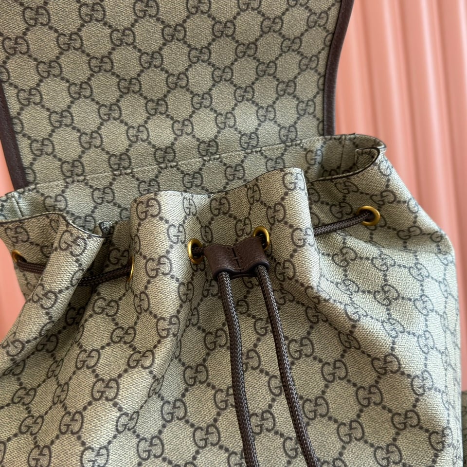 Gucci Ophidia Large Backpack 839110 Beige And Dark Brown 35cm/13.8in view 6
