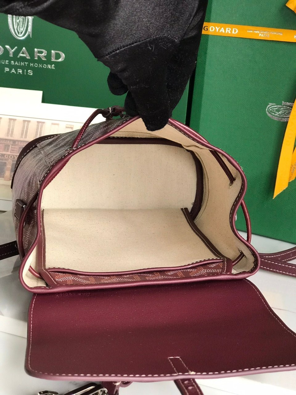 Goyard Alpin Mini Backpack 21 Cm Wine Red Lambskin And Goyardine Canvas view 3