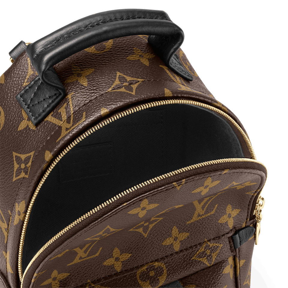 Louis Vuitton Palm Springs Backpack Mini Monogram Canvas – 17cm/6.7in view 13
