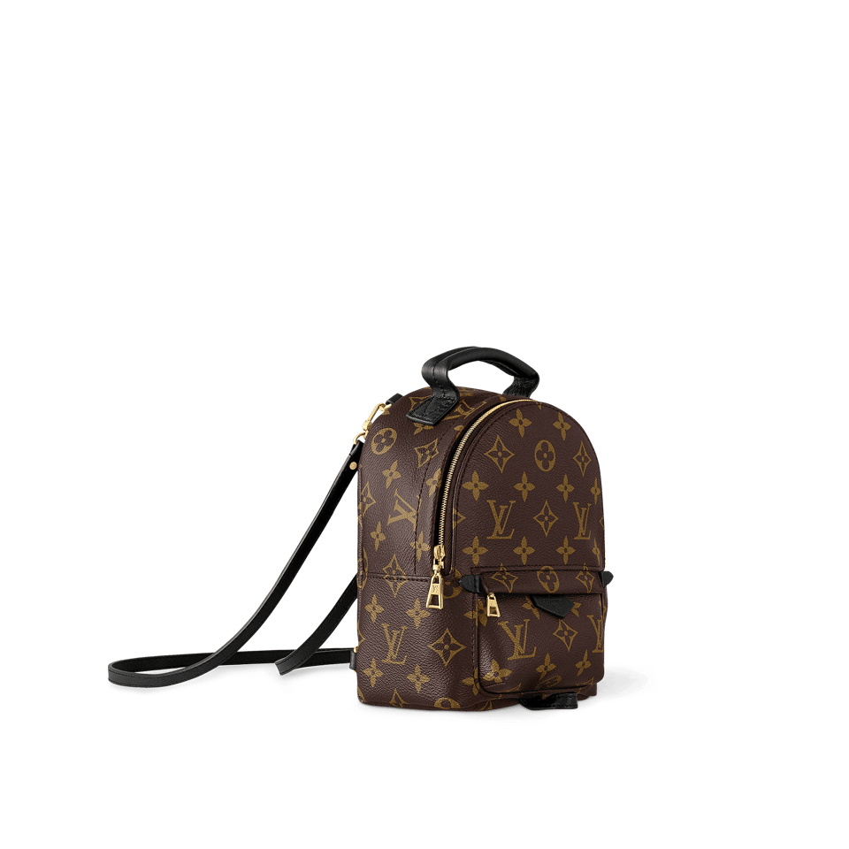 Louis Vuitton Palm Springs Backpack Mini Monogram Canvas – 17cm/6.7in view 4