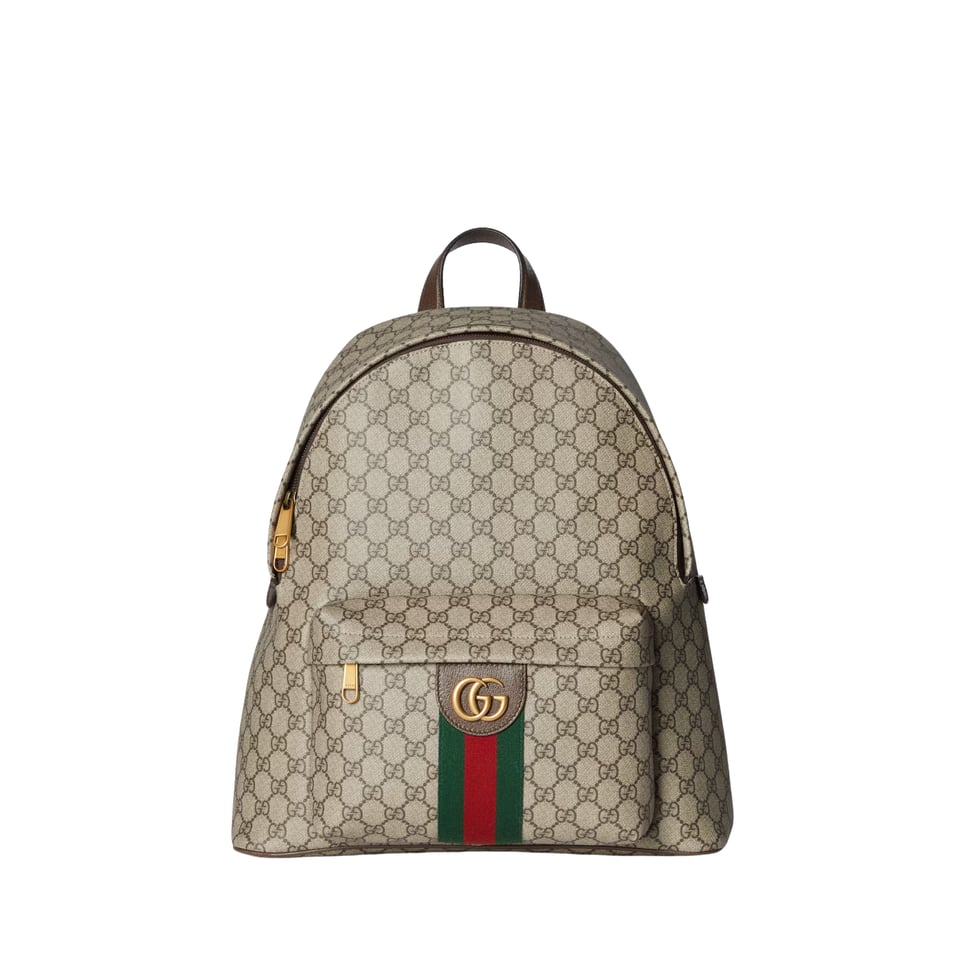 Gucci Ophidia Medium Backpack 834466 Beige And Dark Brown 36.5cm/14.4in
