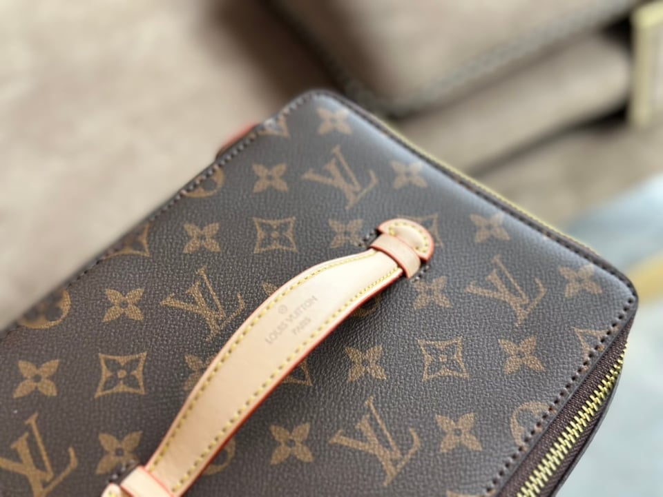 Louis Vuitton Nice Jewelry Case Brown 23Cm view 3
