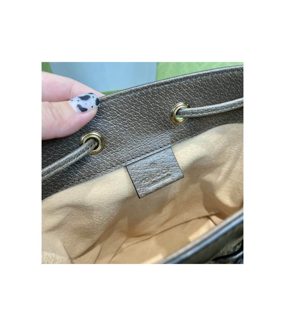 Gucci Ophidia Mini GG Bucket Bag view 14