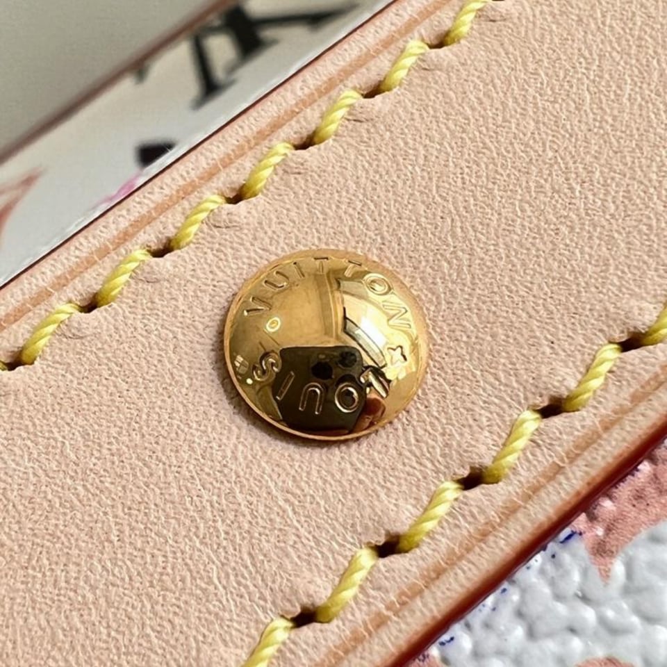 Louis Vuitton Diane PM LV x TM M27900 22cm/8.7in view 3
