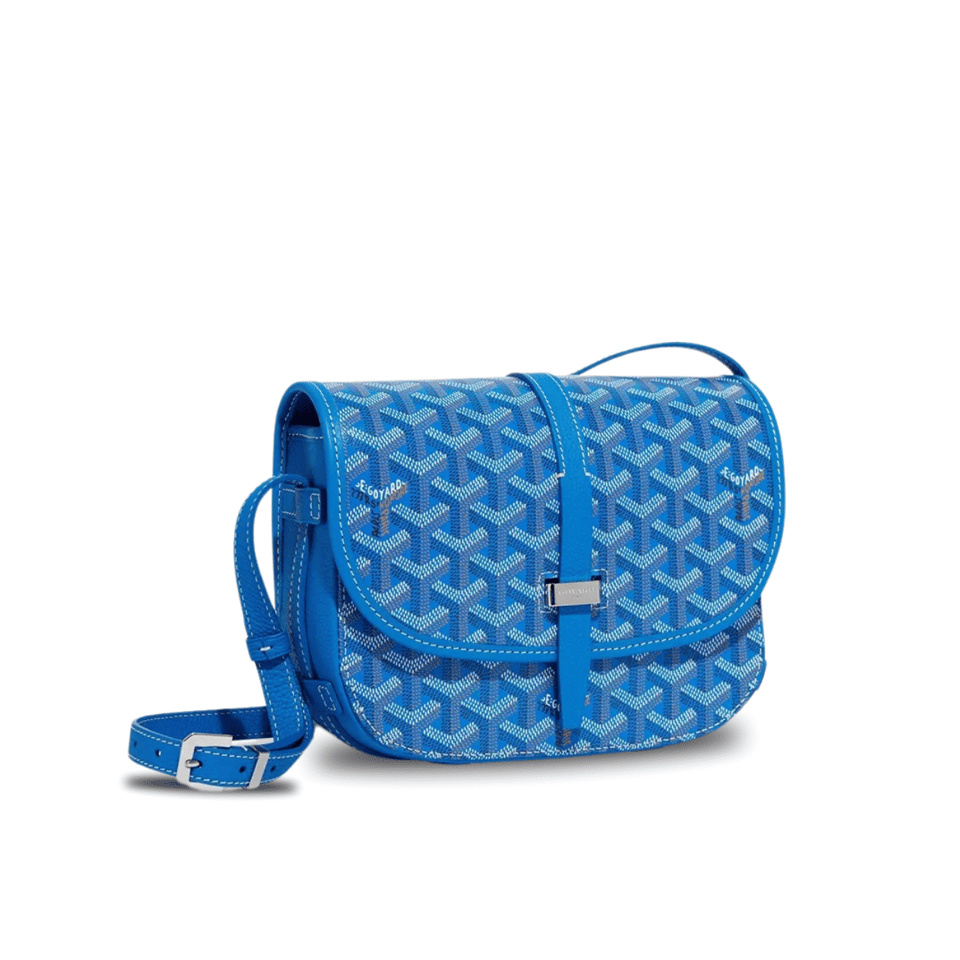 Goyard Belvedere Pm Bag 21Cm Sky Blue Canvas view 2