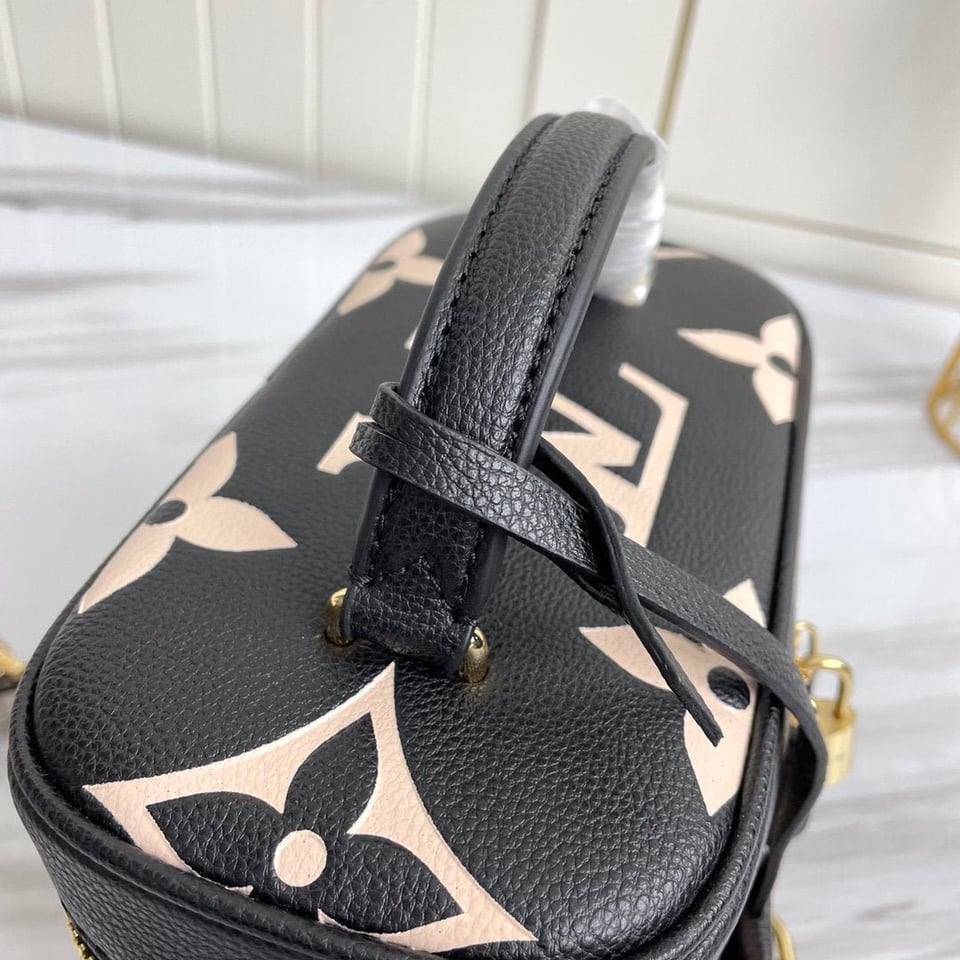 Louis Vuitton Vanity Pm 39Cm view 5