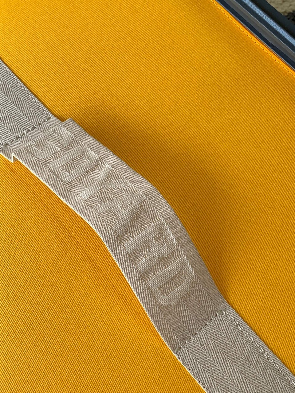 Goyard 50cm view 10