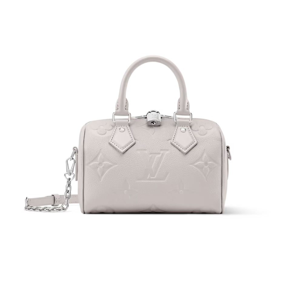 Louis Vuitton Speedy 20 Bag Brume Grey 16cm M28343