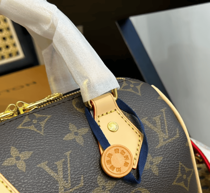 Louis Vuitton Speedy Bandouliere 20 Fuchsia 20cm M46234 view 10