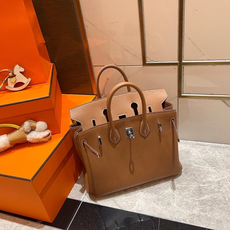 Hermes Birkin 25Cm Gold Togo Leather Silver Hardware view 4