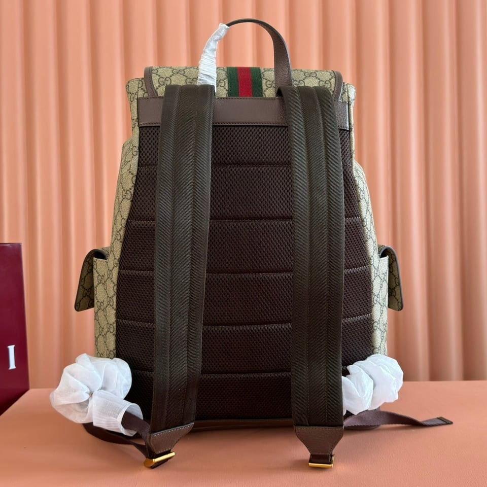 Gucci Ophidia Large Backpack 839110 Beige And Dark Brown 35cm/13.8in view 3