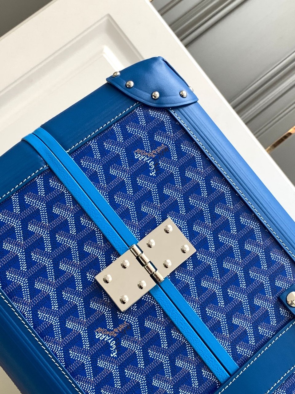 Goyard 50cm view 6