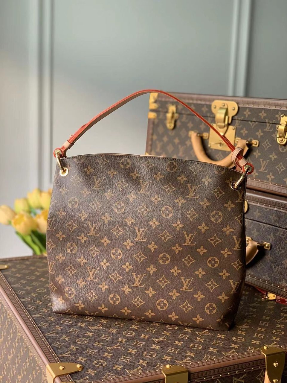 Louis Vuitton Graceful Pm 35Cm view 5
