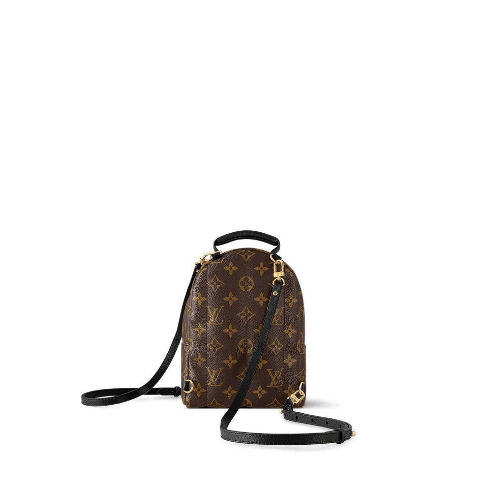 Louis Vuitton Palm Springs Backpack Mini Monogram Canvas – 17cm/6.7in view 14