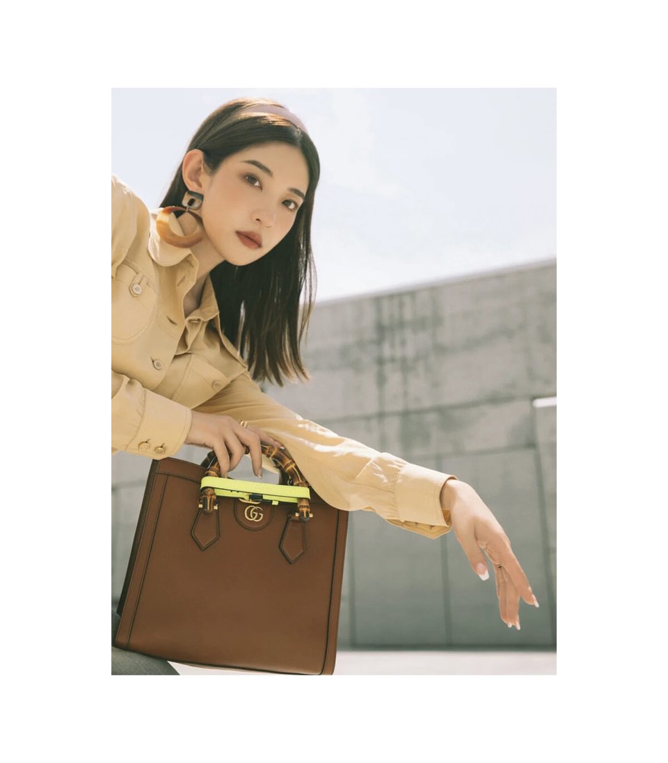 Gucci Diana Small Tote Bag Brown view 7