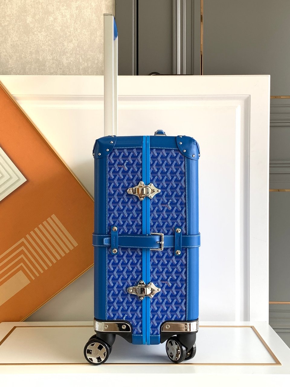 Goyard 50cm view 7